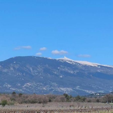 Modene Mon Ventoux 빌라 외부 사진